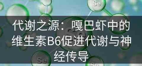 代谢之源：嘎巴虾中的维生素B6促进代谢与神经传导